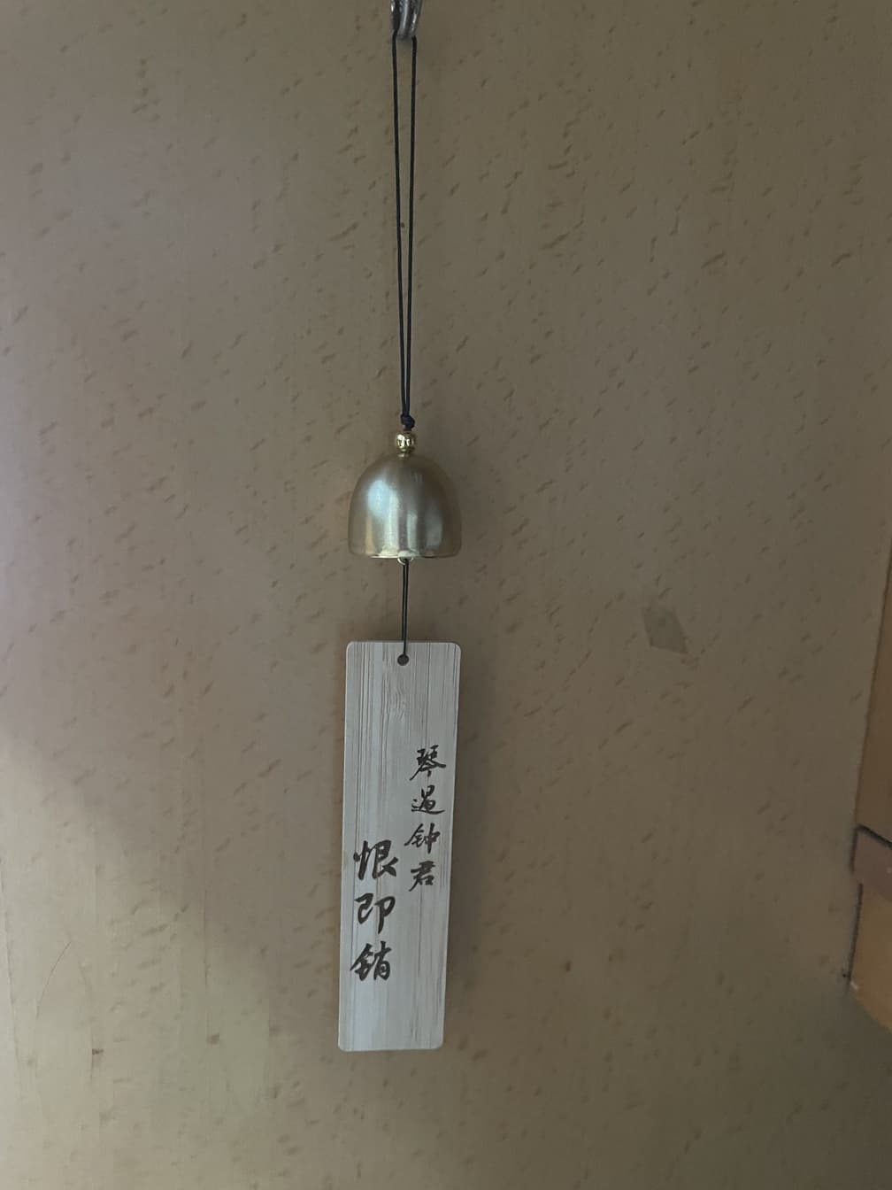 一周速记 9 : 人生的容错性